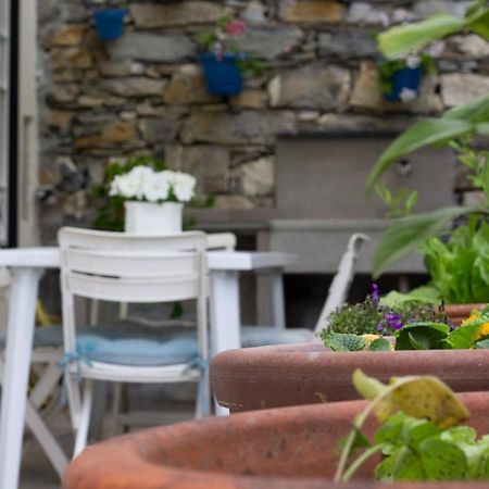 Casa Gatto Miao Lejlighed Rapallo Eksteriør billede